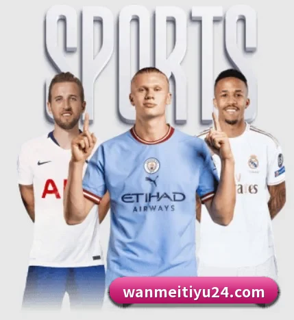完美体育围绕看球场景设计的核心服务